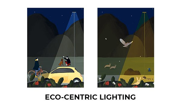 Eco-Centric Lighting